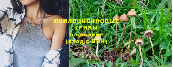 дмт Белокуриха