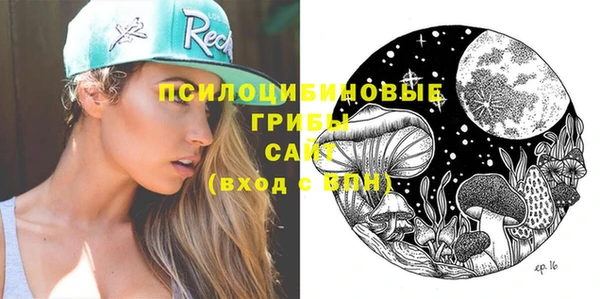 крисы Белоозёрский
