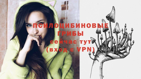 дмт Белокуриха