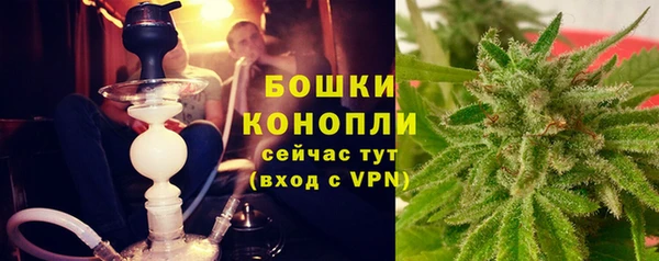 молекула духа Беломорск
