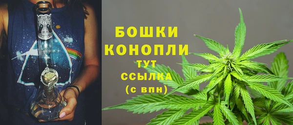 крисы Белоозёрский