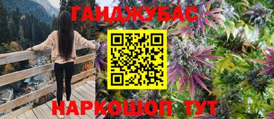 герыч Кингисепп