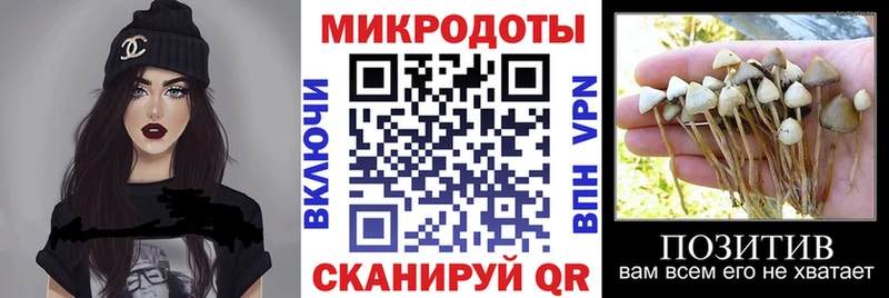 Галлюциногенные грибы прущие грибы Кузнецк