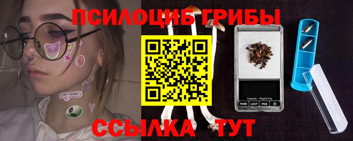 Кузнецк  Галлюциногенные грибы MAGIC MUSHROOMS  Вход с VPN 